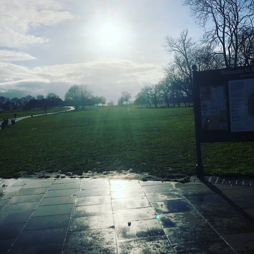 Brockwell Park Events&nbsp;Q&A